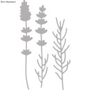 Rayher Stanzschablone: "Lavender ", 1,3 -...