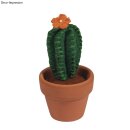 Bastelpackung: Kaktus, 5cm &oslash;, 10cm, Glas 1St&uuml;ck, filzen
