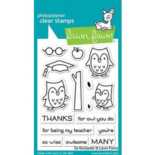 Lawn Fawn, clear stamp, so owlsome