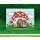 Lawn Fawn, clear stamp, oh gnome!