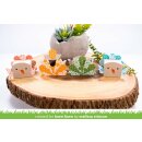 Lawn Fawn, lawn cuts/ Stanzschablone, tiny gift box peacock and turkey add-on