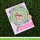 Lawn Fawn, clear stamp, hey lady