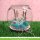 Lawn Fawn, clear stamp, swan soiree