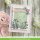 Lawn Fawn, lawn cuts/ Stanzschablone, dandy day
