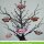 Lawn Fawn, lawn cuts/ Stanzschablone, tiny gift box bat add-on