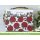 Lawn Fawn, lawn cuts/ Stanzschablone, stitched apple frames