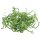 Papier-Dekogras, Beutel 50g, grasgrün