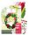 papier + ideen, Quilling Kit - Roses