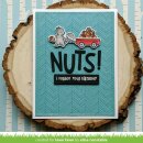 Lawn Fawn, clear stamp, lets go nuts