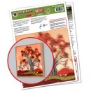 papier + ideen: Quilling Template, October Sunset - Art...