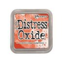 Tim Holtz, Ranger Distress Oxide Pad, crackling campfire