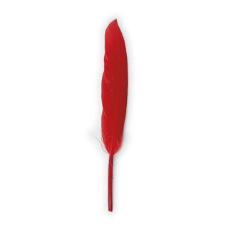 Gänsefedern, 11-16cm, 10 Stück, rot