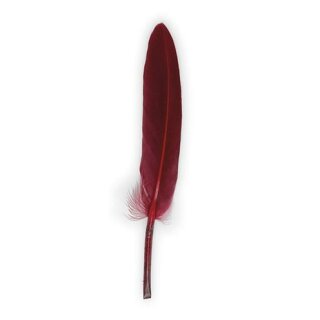 Gänsefedern, 11-16cm, 10 Stück, bordeaux