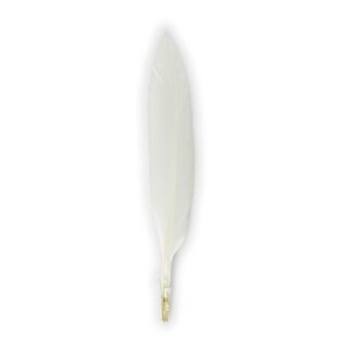 Gänsefedern, 11-16cm, 10 Stück, creme