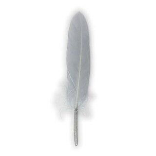 Gänsefedern, 11-16cm, 10 Stück, grau