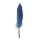 Gänsefedern, 11-16cm, 10 Stück, blau