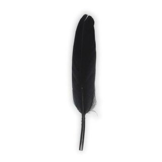 Gänsefedern, 11-16cm, 10 Stück, schwarz