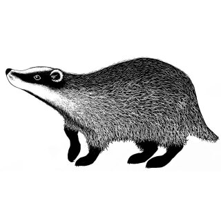 Lavinia Stamps, clear stamp - Badger 2