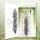 Lavinia Stamps, clear stamp - Sea Tangle