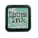 Tim Holtz, Ranger Distress Ink pad, iced spruce