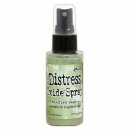 Tim Holtz, Ranger Distress Oxide Spray, bundled sage