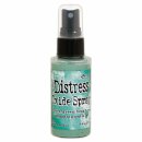 Tim Holtz, Ranger Distress Oxide Spray, evergreen bough