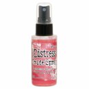 Tim Holtz, Ranger Distress Oxide Spray, festive berries