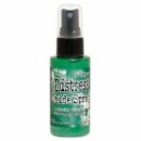 Tim Holtz, Ranger Distress Oxide Spray, lucky clover