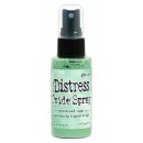Tim Holtz, Ranger Distress Oxide Spray, speckled egg