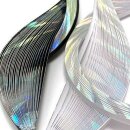 Quilled Creations, Paper Stripes, Silver Holofoil Edge on...