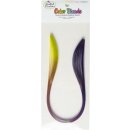 Quilled Creations, Paper Stripes, Yellow-Pink-Purple Color Blend Quilling Paper 1/4&quot; (6mm)