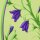 Karen Marie Klip: Quilling Anleitung, Harebell Flower