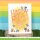 Lawn Fawn, clear stamp, tiny birthday friends