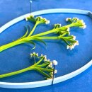Karen Marie Klip: Quilling Anleitung, Cow Parsley