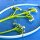 Karen Marie Klip: Quilling Anleitung, Cow Parsley