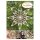 Karen Marie Klip: Quilling Anleitung, Kathryn Star