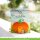 Lawn Fawn, lawn cuts/ Stanzschablone, pumpkin house