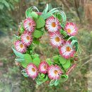 Karen Marie Klip: 3D Bellis Flower Wreath Anleitung