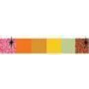 Quilled Creations, Paper Stripes, Autumn Colors Quilling...