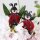 papier + ideen: Quilling Template, Small Quilling Ladybirds