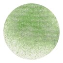 Nuvo, Sparkle Spray, Wispy Willow 30 ml