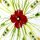papier + ideen: Quilling Template, Poppy Mandala