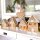 Karen Marie Klip: Quilling Anleitung, On Edge Gingerbread Houses/ Lebkuchenhaus