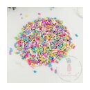 Rainbow Crumbs Shaker Slices/ Scheiben, 8g Dose