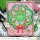 Mama Elephant, clear stamp, Little Merrysign Agenda