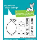 Lawn Fawn, clear stamp, youre the zest