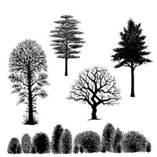 Lavinia Stamps, clear stamp - Tree Scene