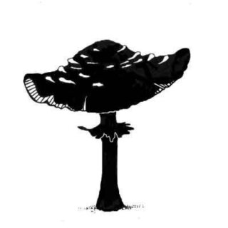 Lavinia Stamps, clear stamp - Toadstool