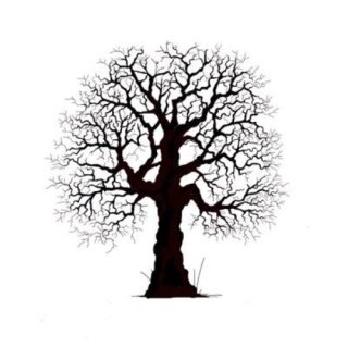Lavinia Stamps, clear stamp - Oak Tree