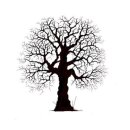 Lavinia Stamps, clear stamp - Oak Tree